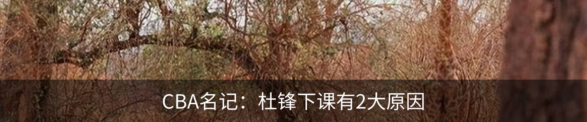 新闻中心